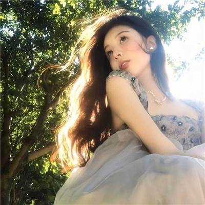 鹬
